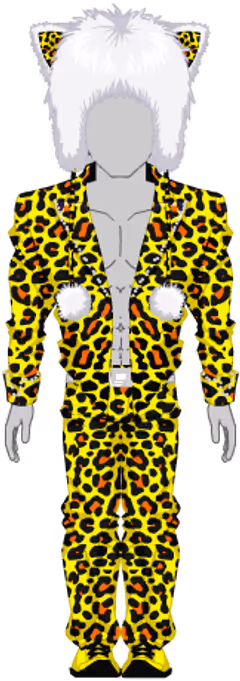 Late Night Leopard Set