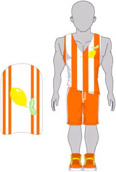 Lemon Stripe Set