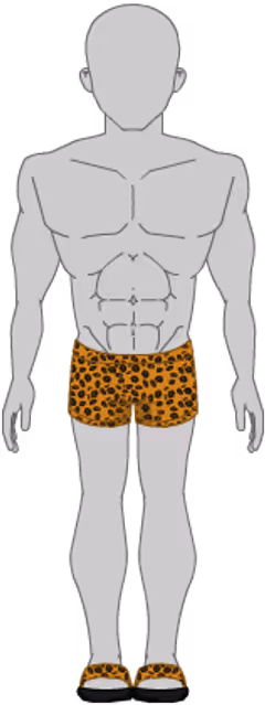 Leopard Set