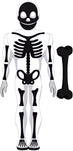 Mister/Miss Bones Set