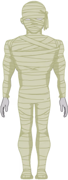 Mummy Bandage Set