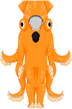 Squid Set