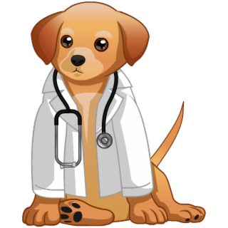 January 2020 Doc Dog Charm