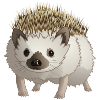 November 2019 Pet Hedgehog Charm